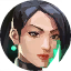 Minimap Portrait