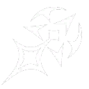 フロー