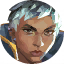 Minimap Portrait