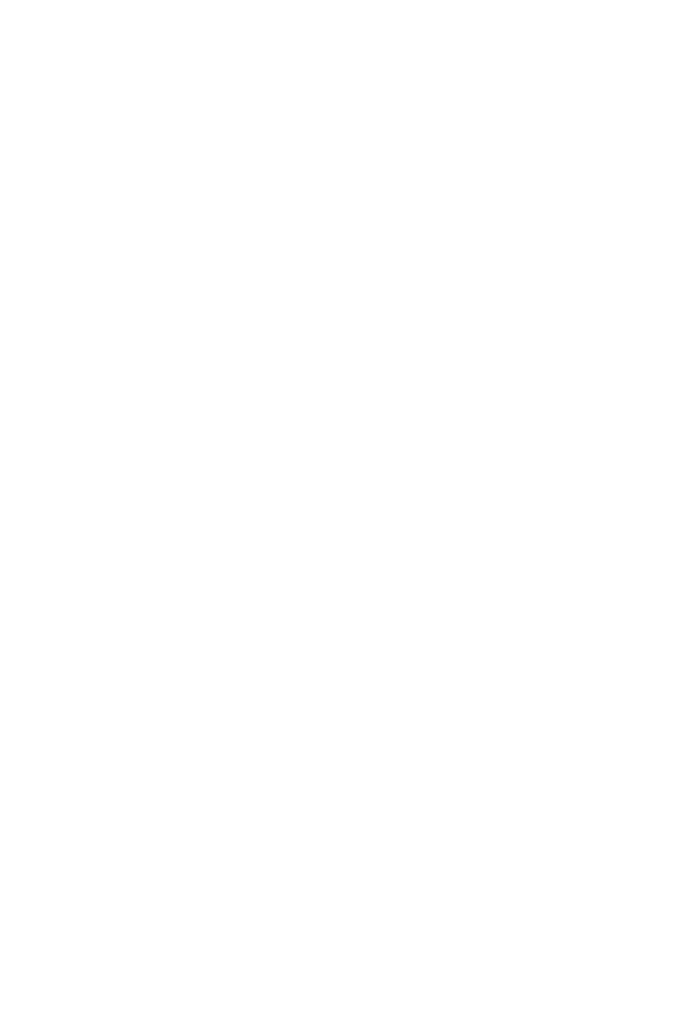 Phoenix background