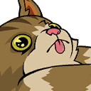 CatOnBroom