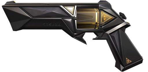 Skin Image