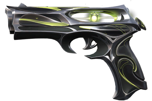 Skin Image