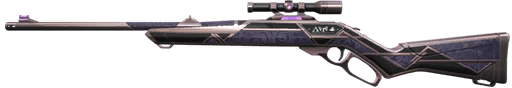 Skin Image